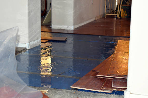 Professional Basement Flood Cleanup technician working in Sweet Springs, MO